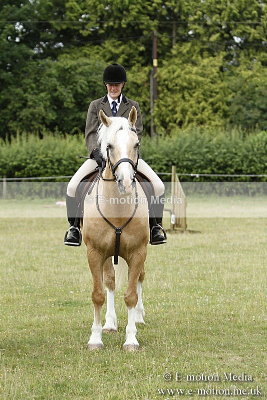 BVR160717-171 - Ring 3 BVRC Show 16/07/17