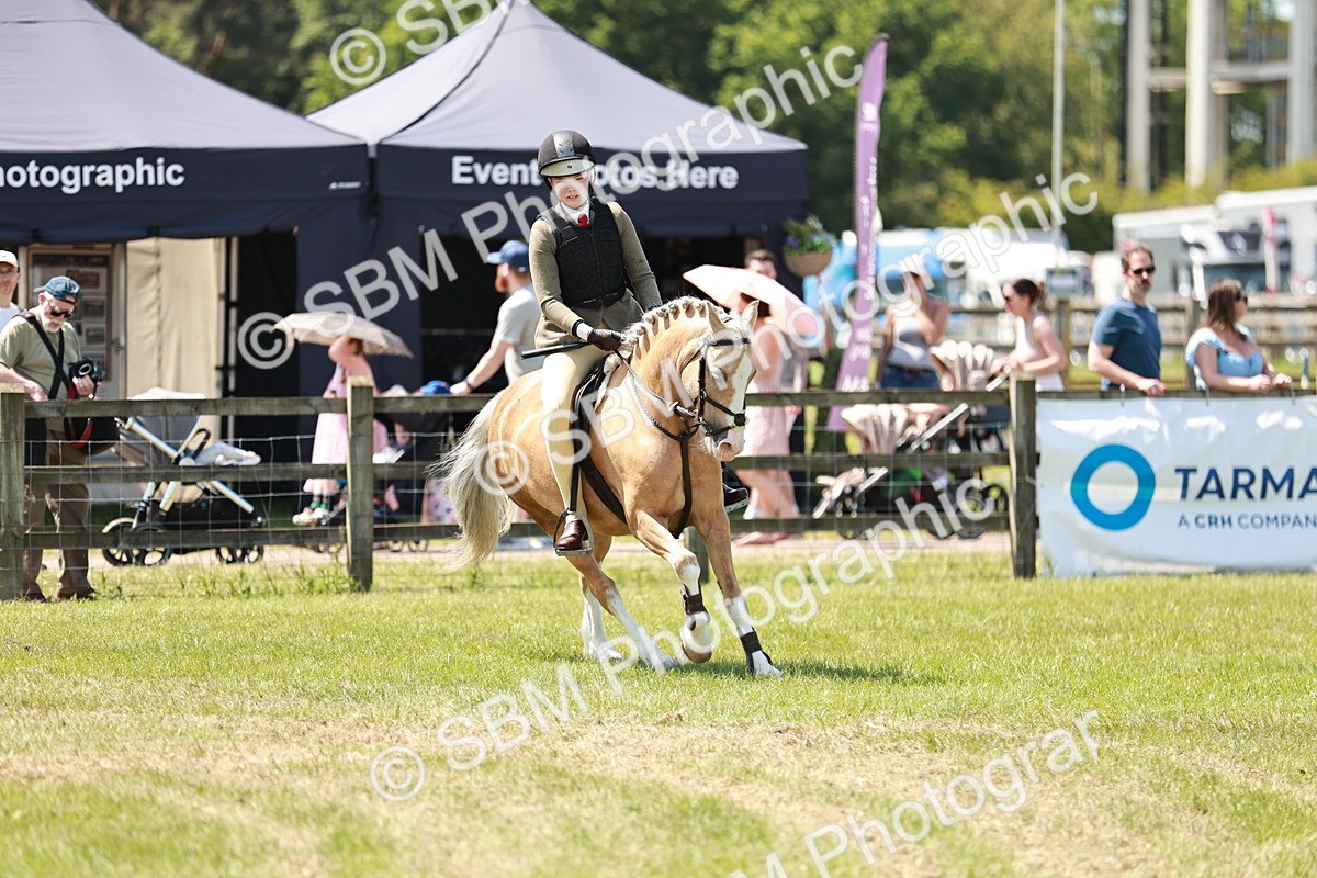 SBM_15677 - Class 108-109 - BSPS LIHS Open Gradle & Nursery Stakes