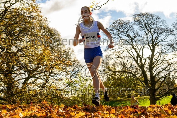 NatRel25-913684 - Young Female Set Two