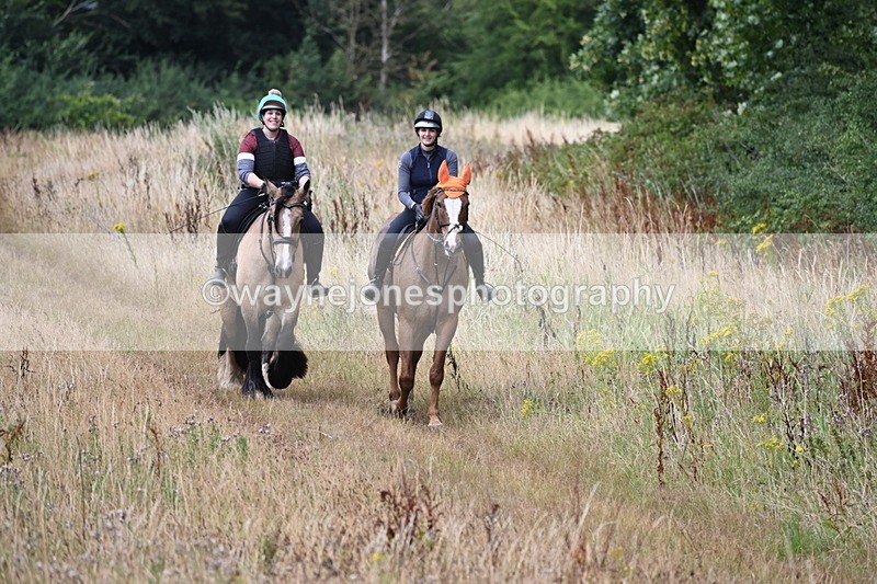 WJ6_2426 - Group 7