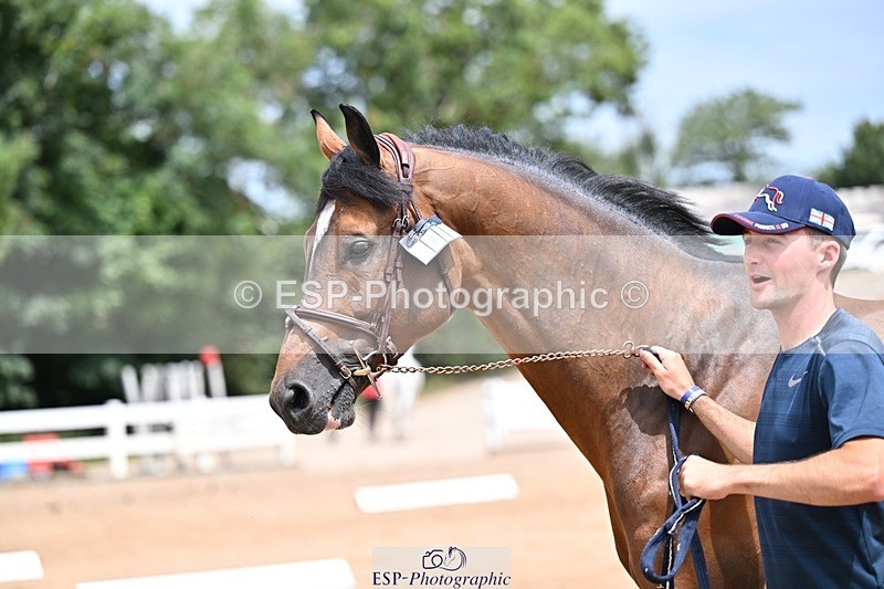 250716-132650-00520 - Trot Up 12.30 to 1.30