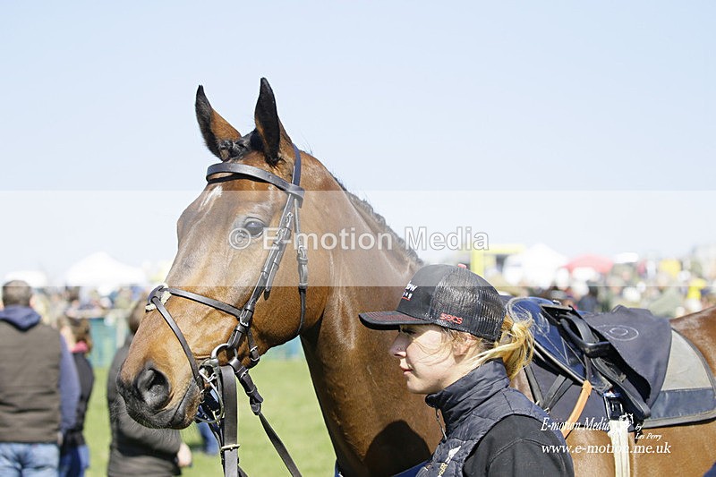PtP 190322 149 - Wilton Hunt PtP Milborne St Andrew 19/03/22