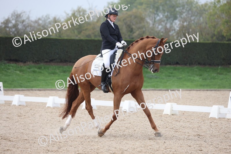 20251012-0796 - Class 9 - Advanced Medium 3