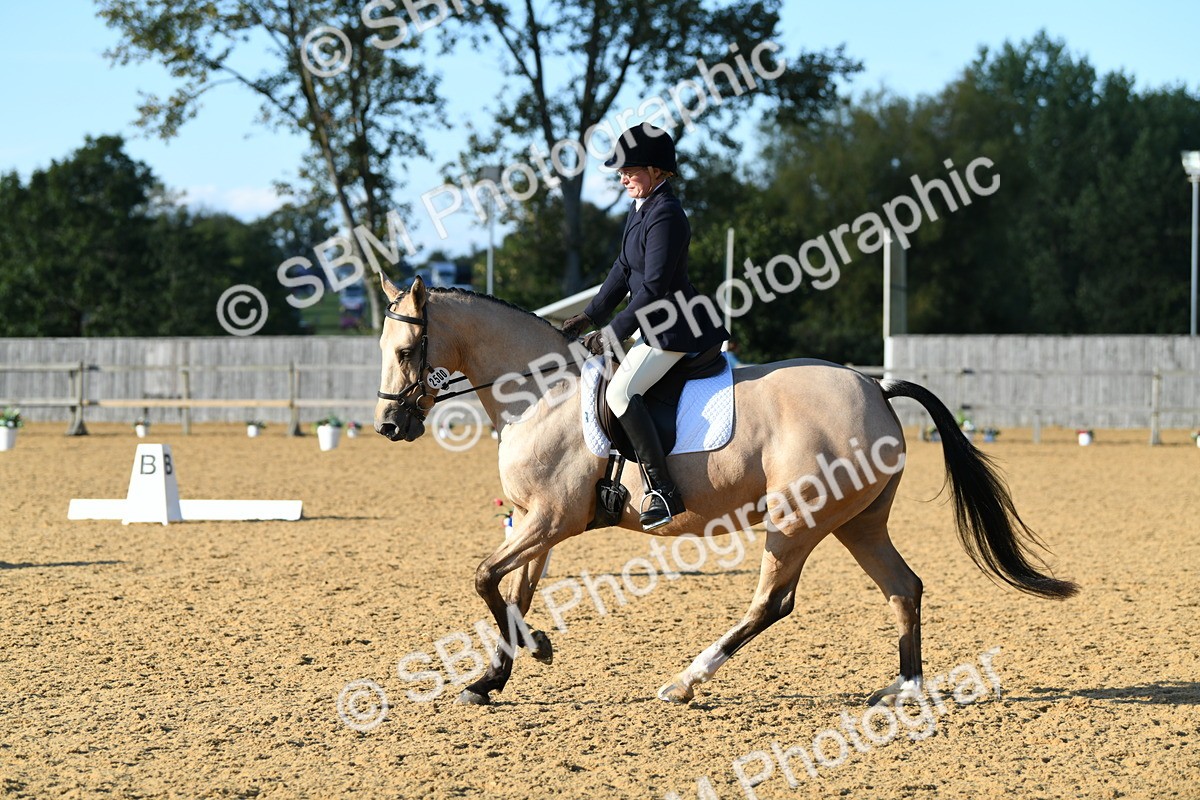 SBM_28504 - D16 - Small Tour Championship - Novice 28