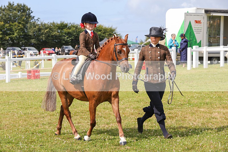 1X9A3634 - Class 29: Lead Rein SP/SHP