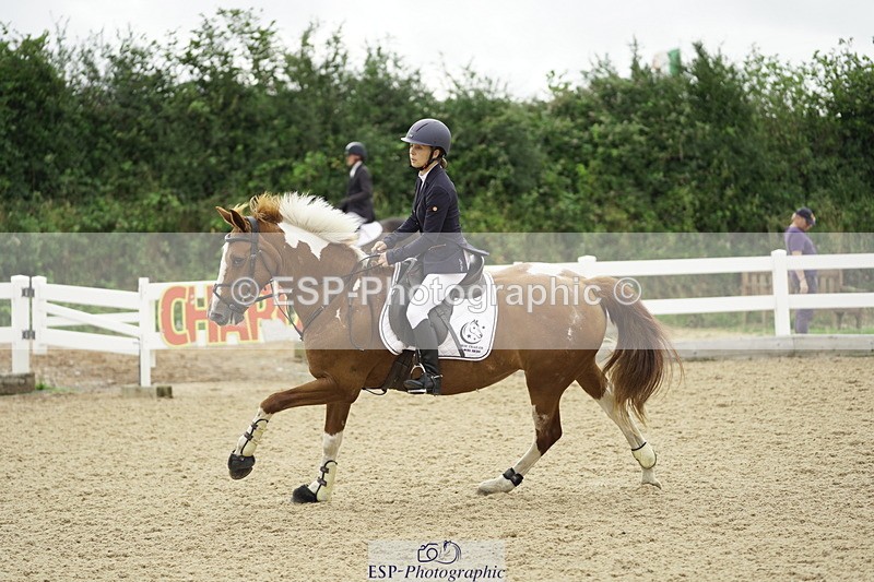 230728A-102816-00370 - Cls 7 British Novice & 90cm Open