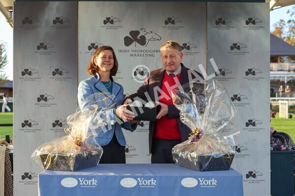 yr07102022r7-71 - Race 7 5.35pm IRE Incentive, It Pays To Buy Irish Stakes