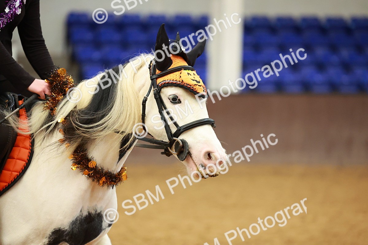 SBM_000715 - Class 2 - 50cm