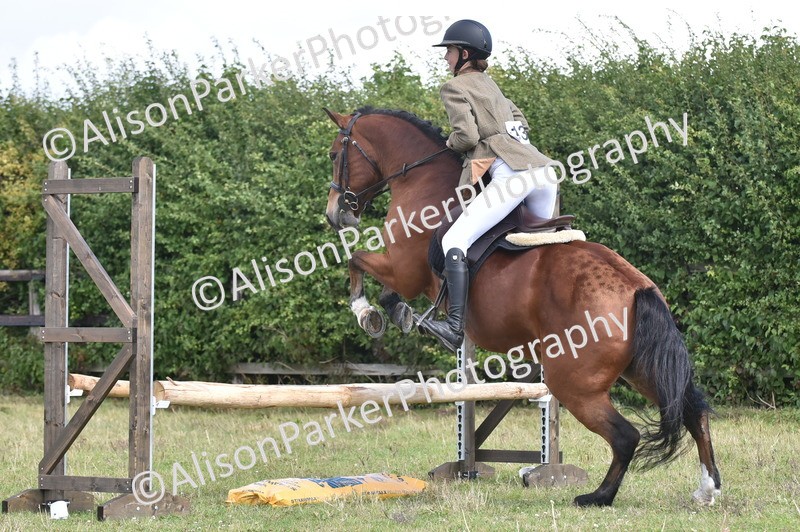 20250831-4019 - Class 12 - Working Hunter Pony 14.2hh and Under