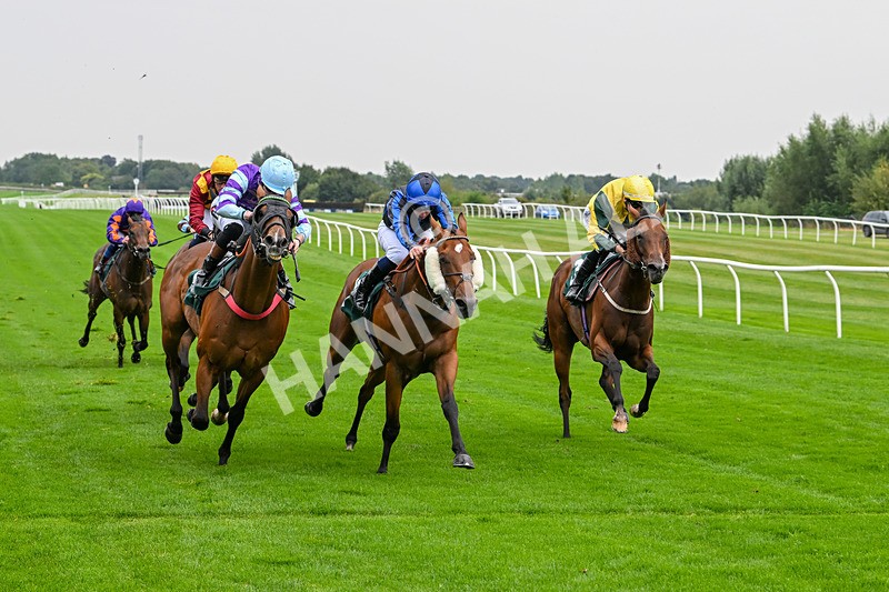 280824-Race 3-Too Much Too Young-4254 - Race 3