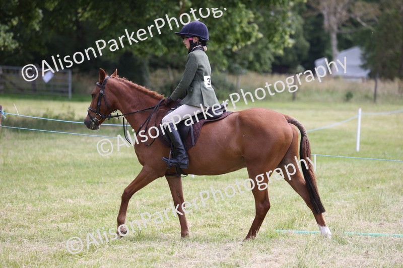 20260614-2111 - Class 21 - Novice Working Hunter Pony