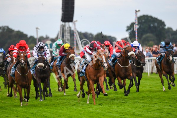 280723-Race 4-Cairn Gorm-0415 - Race 4 6.40pm Tomahawk Restaurants Handicap