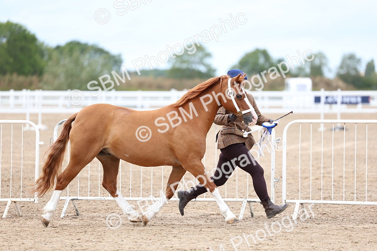 SBM_05995 - Class 29 - IH Veteran Pony