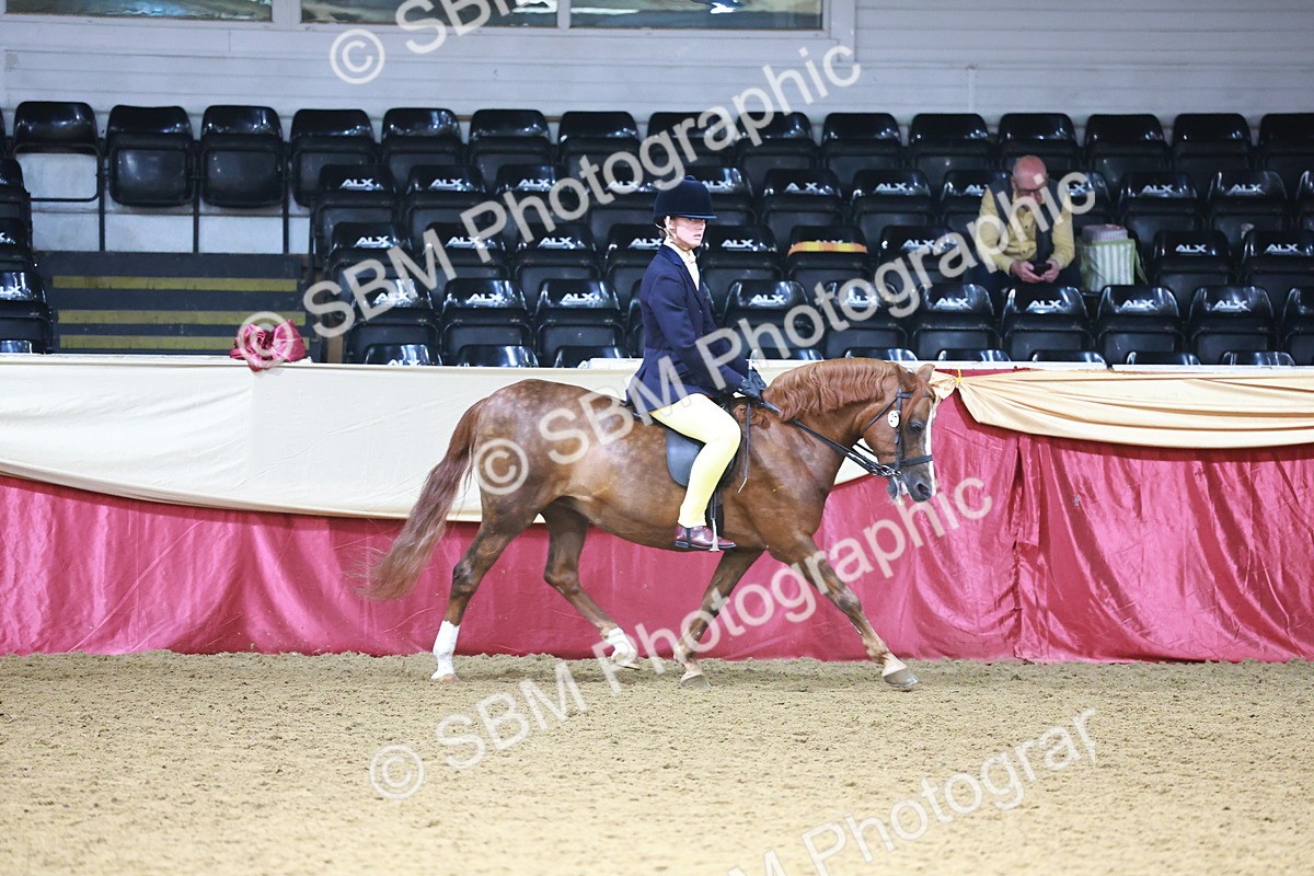 SBM_23322 - Class 904 - Supreme Final - Ridden Diamond