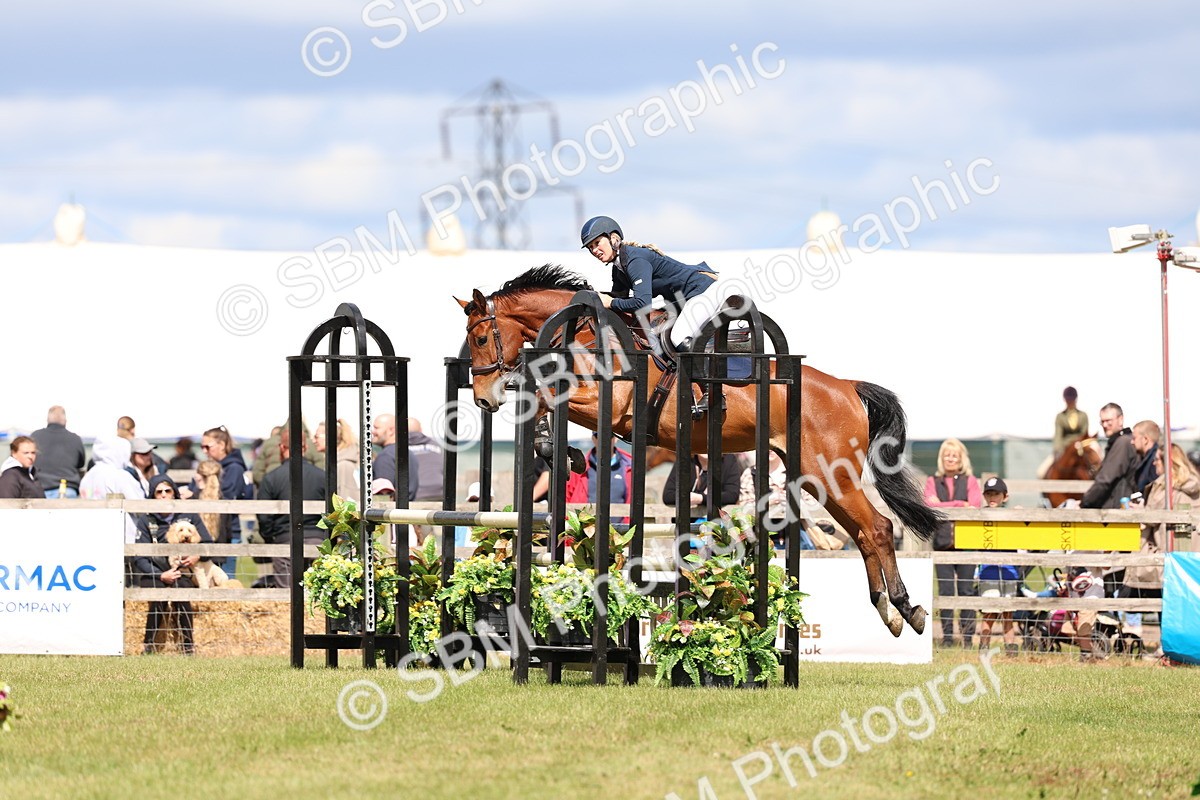 SBM_13640 - Class 206 - Senior Newcomers - 1.10m Open