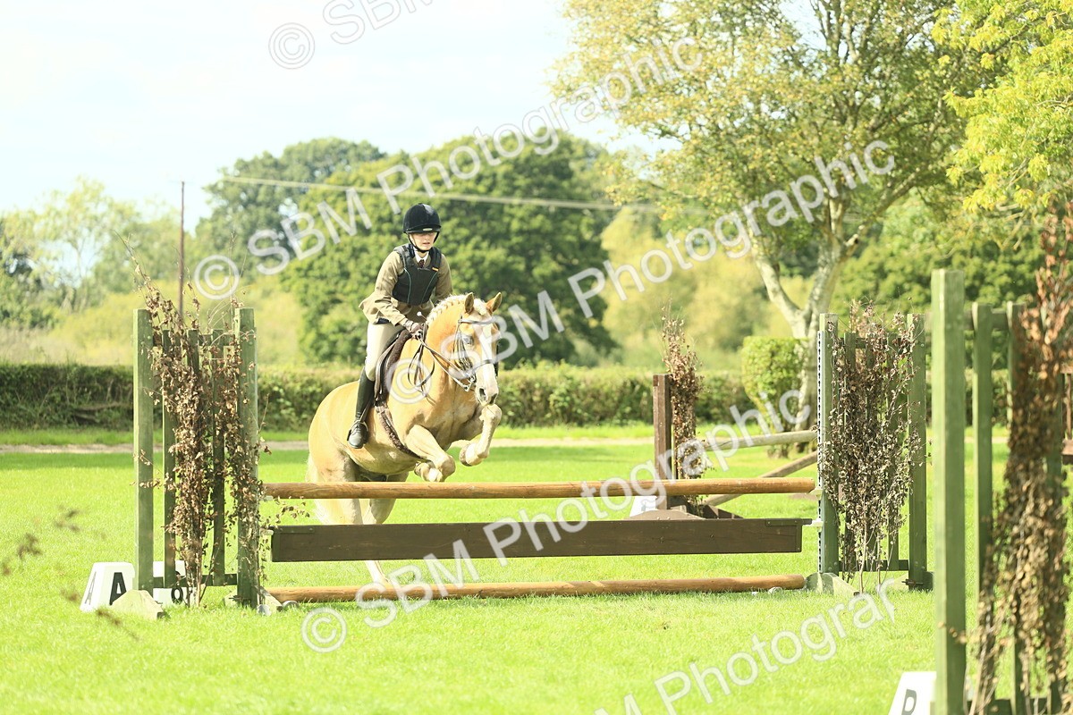 SBM_44715 - S31 - Working Hunter Pony