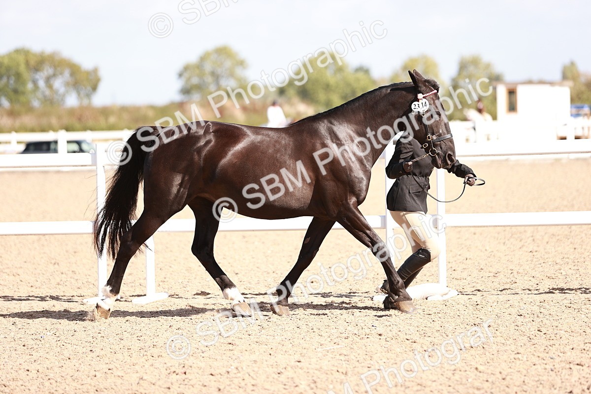 SBM_22881 - Class 706 - IH Veteran