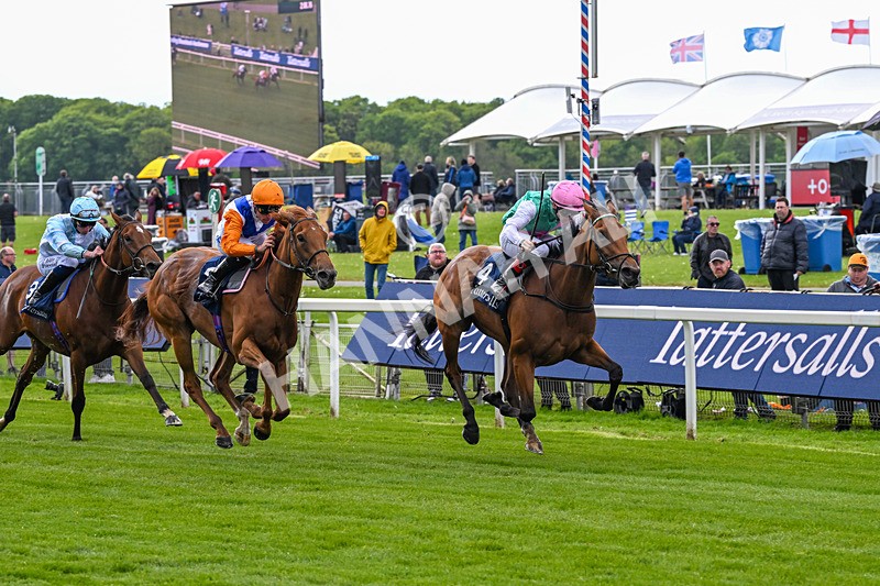 130526-Race 5-Legacy Link-3246 - Race 5 4.05pm Tattersalls Musidora Stakes