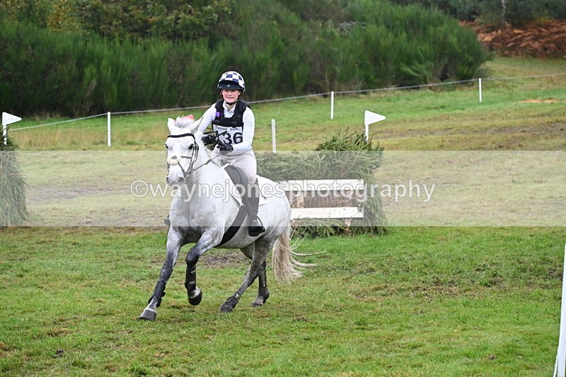 WJ6_2371 - 80cm Cam 1 Time 11:23 to 12:04