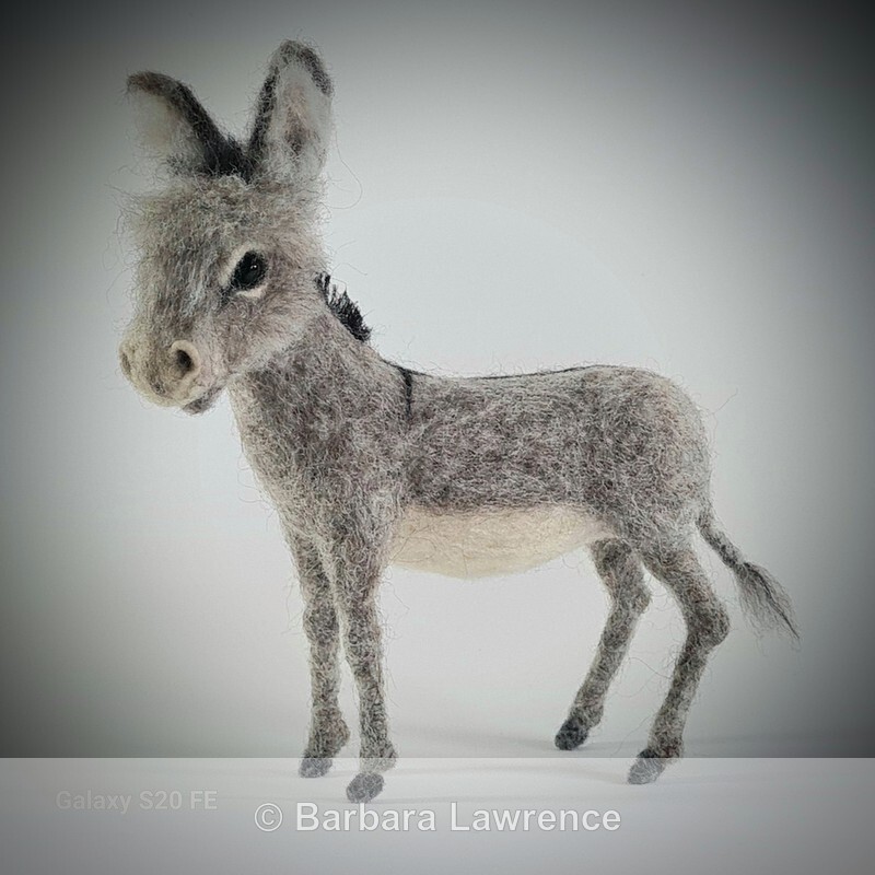 Little Grey Donkey. Photo 1 - Shop