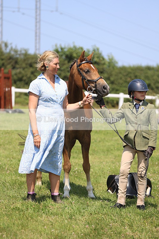 JPP_2883 - Class 21: Working Hunter 60cm