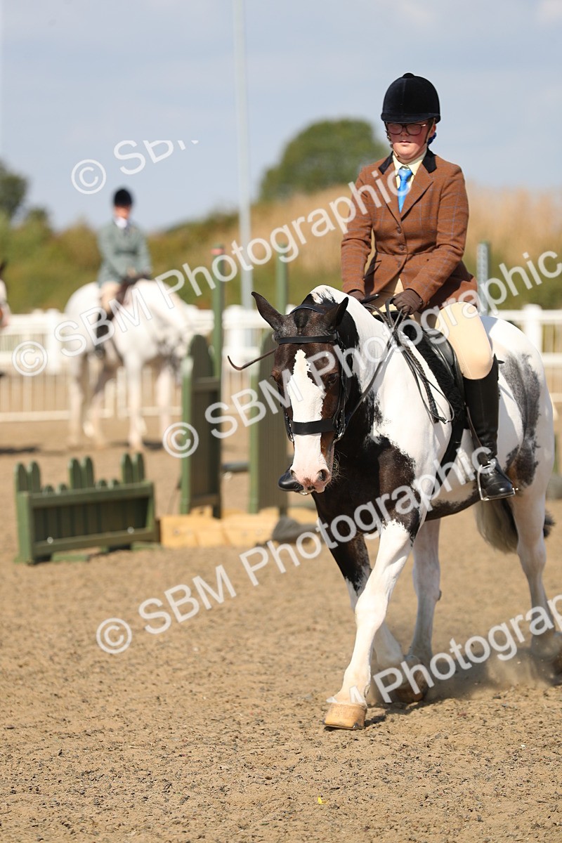 SBM_03202 - Class 44 Riding Club Horse/ Pony
