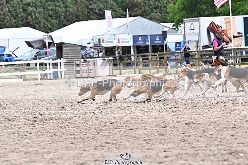 250524A-152310-12706 - East Devon Hounds