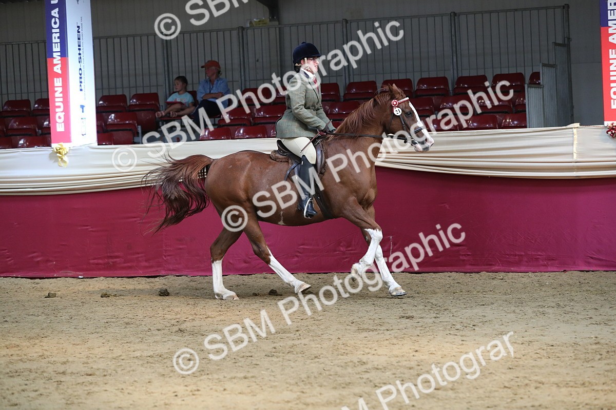 SBM_08303 - Class 11R Regional Ridden Veteran