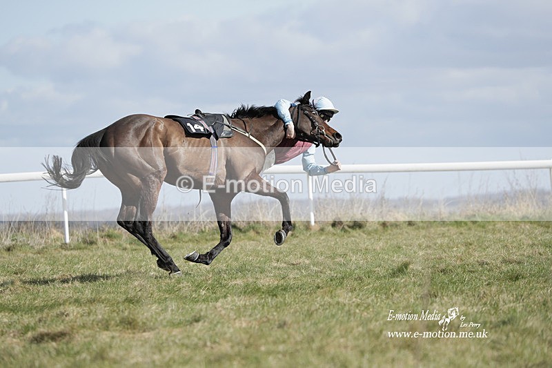 PtP 260223 497 - South & West Wilts Point-to-Point Larkhill 26/02/23