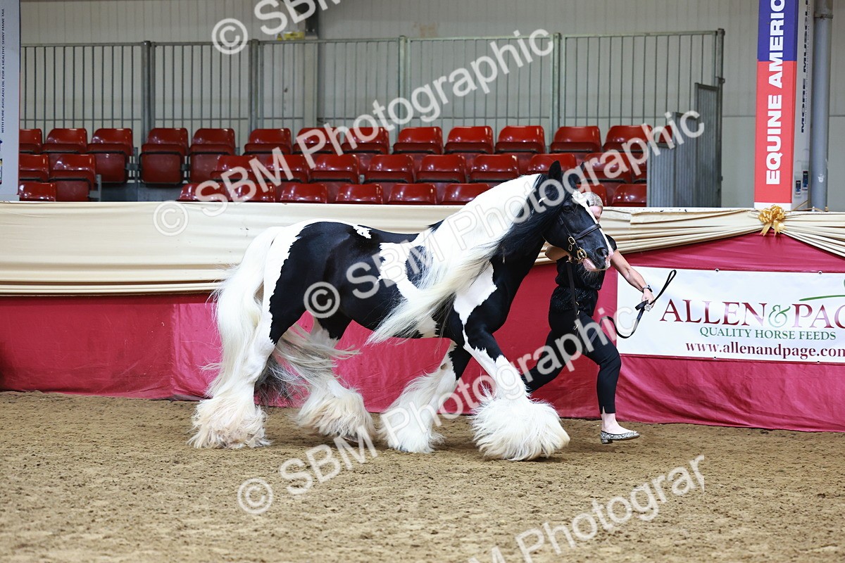 SBM_22268 - Class 902 - Supreme Final - IH Diamond