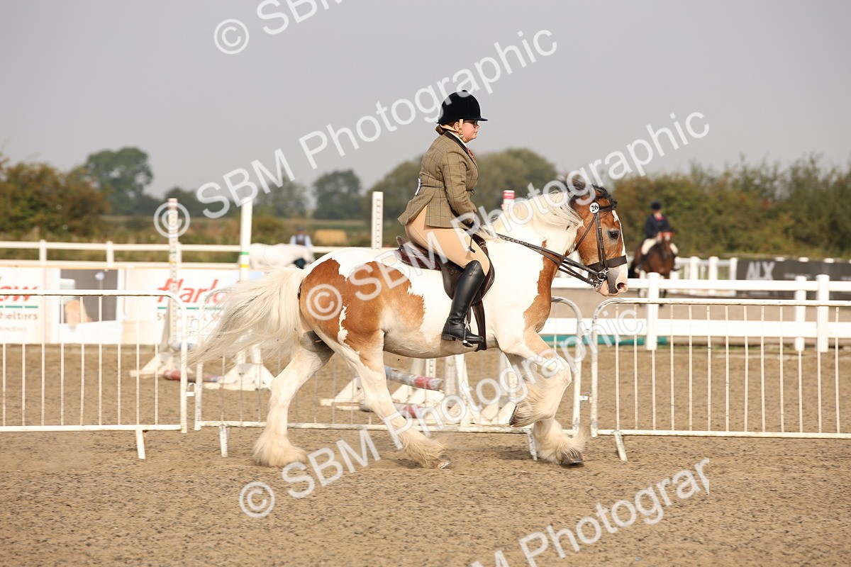 SBM_10263 - Class 402 Riding Club Horse