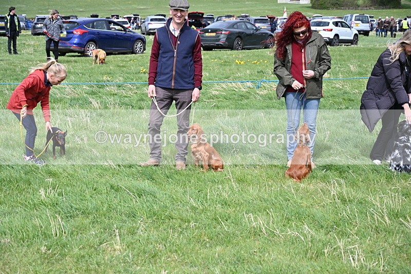 WJ6_8208 - Class 4 Prettiest Bitch