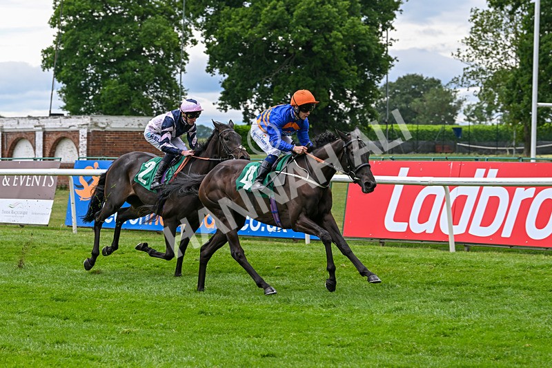 170625-Race 2-Ghaiyya-4840 - Race 2