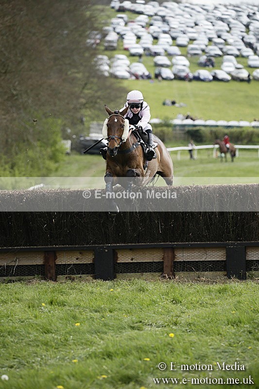 PtP 170417 173 - Old Berks Point-to-Point Lockinge 17/04/17