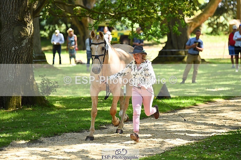 230524-150920-00091 - 356-THE_DUMB_BLONDE-Kat_Raybould-WEDTrotUp+DR