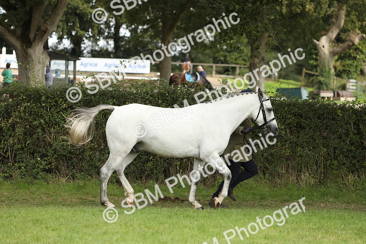 SBM_68540 - S40 - Junior Handler 9-12 Years