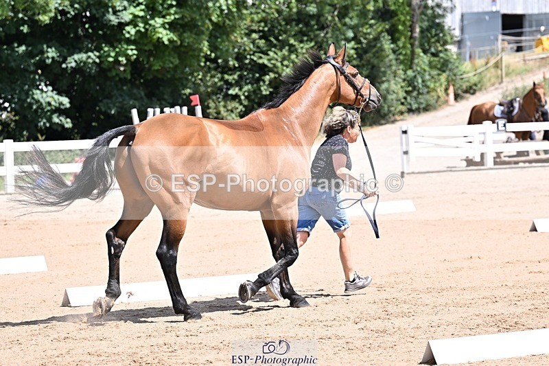 250716-123828-00079 - Trot Up 12.30 to 1.30