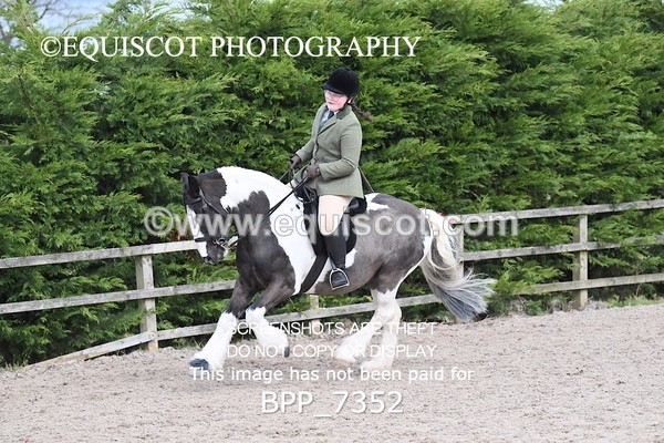 BPP_7352 - RING 1  (RIDDEN HORSES / IN HAND / VETERAN ETC)