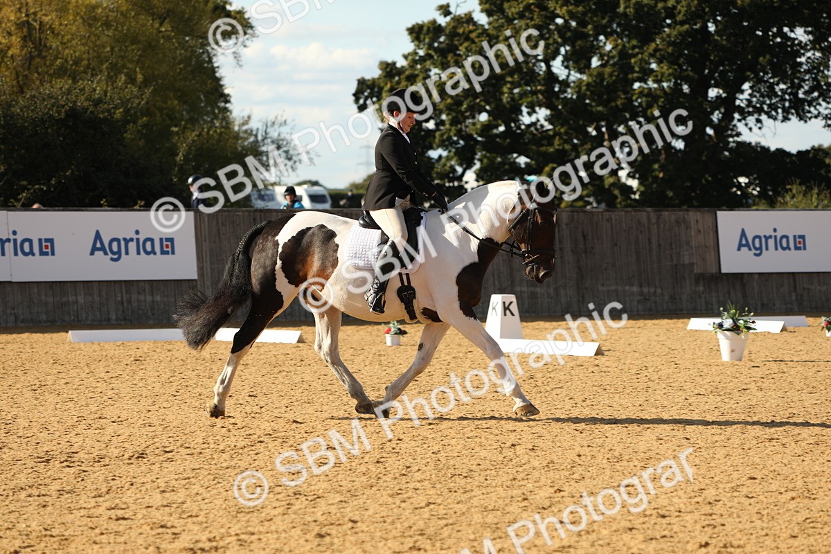 SBM_26840 - D17 - Grand Tour Championship - Novice 27