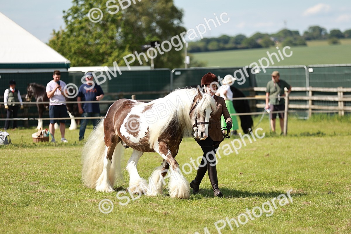 SBM_08839 - Class 63-65 - Traditional Gypsy Cobs In Hand & Ridden