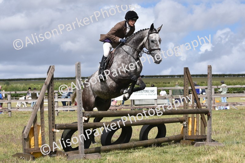 20250831-4066 - Class 13 - Working Hunter Horse or Pony