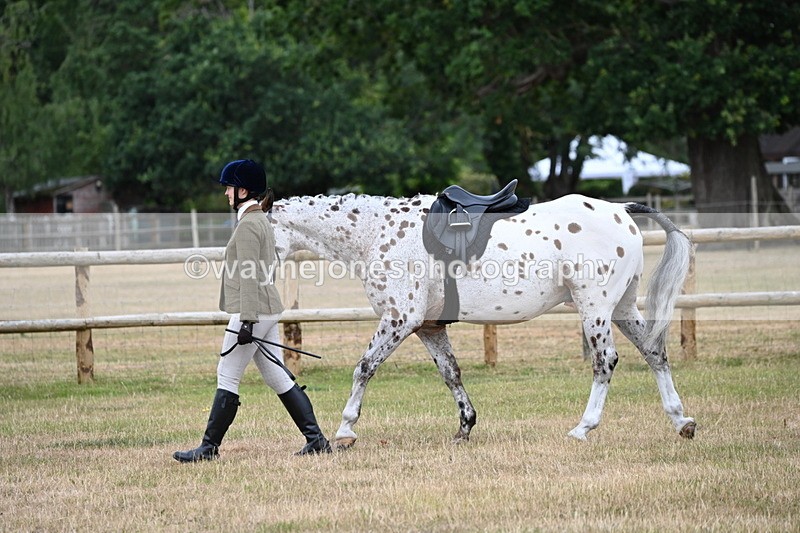 WJ6_3773 - Class 9 Tack & Turnout