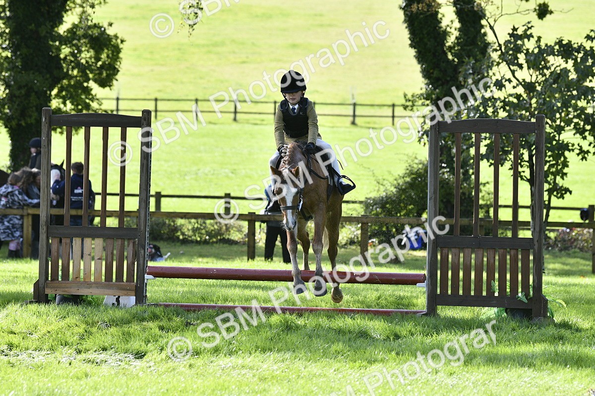SBM_38220 - S31 - Novice & Newcomer Working Hunter Pony