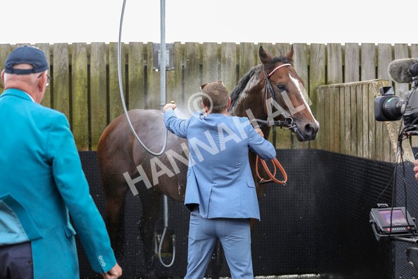 230824-Race 4-Bradsell-8446 - Race 4 3.35pm Coolmore Wootton Bassett Nunthorpe Stakes