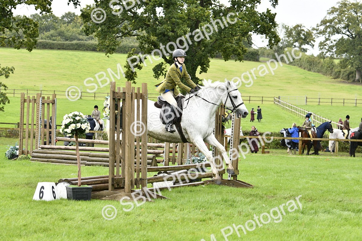 SBM_41427 - S32 - Mountain & Moorland Working Hunter Pony