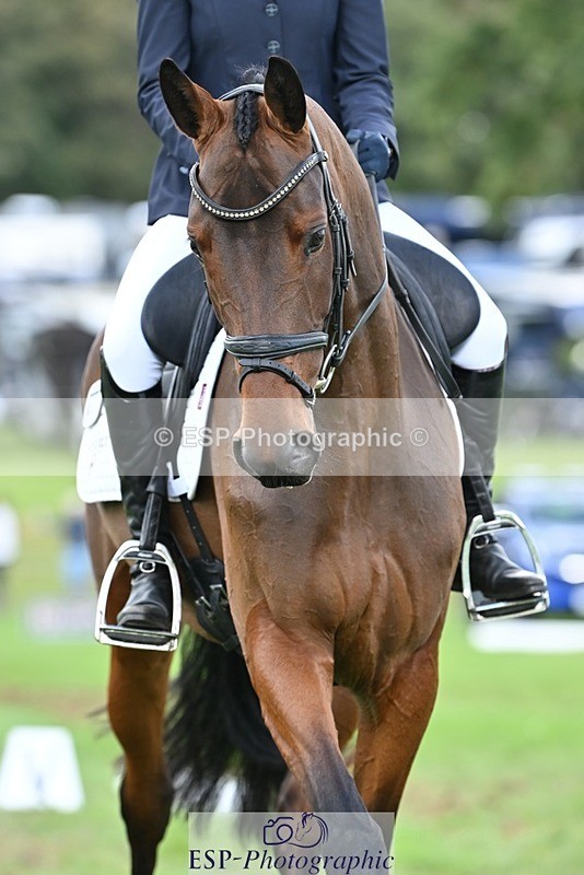 231020-142311-10887 - 665-OPPOSITION.FIDELITY-Izzi.Kirk-DR