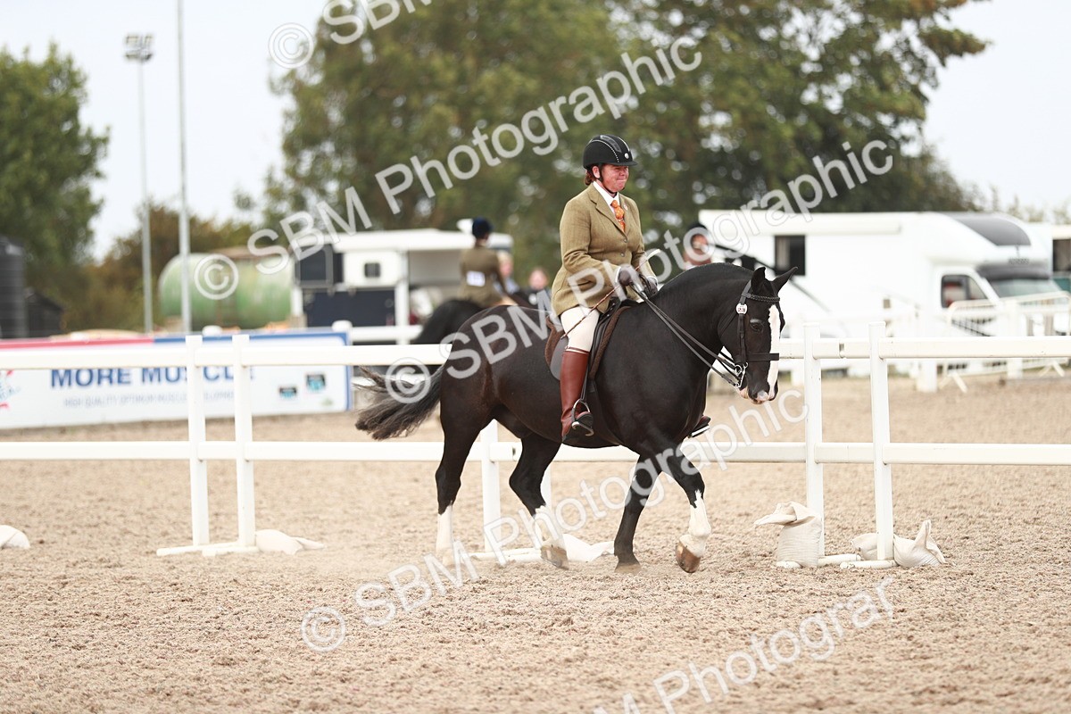 SBM_16614 - Class 214 Ridden Cob