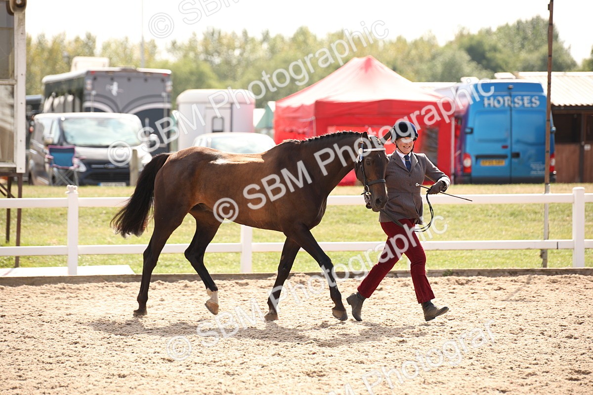 SBM_07049 - Class 25 IH Foreign Breeds- Pure bred