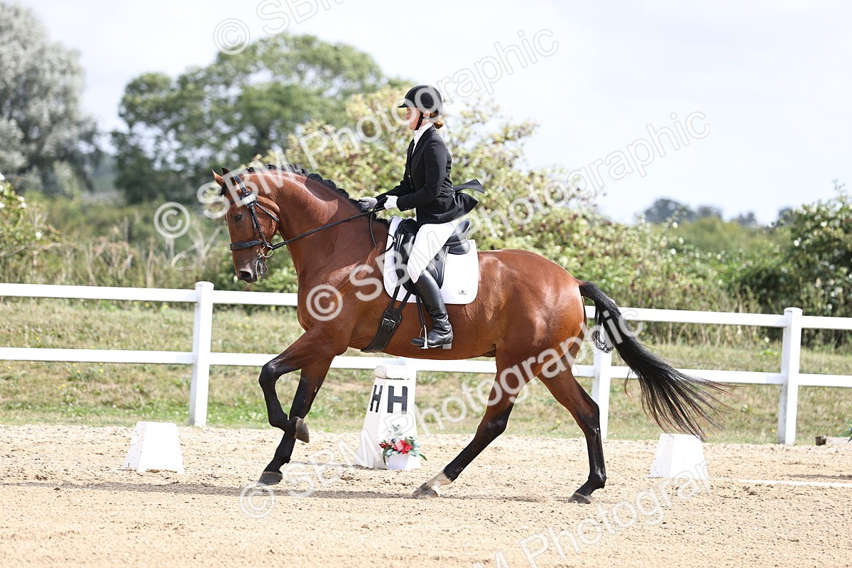 SBM_016163 - Class 14 - Novice 23 - 10.29-11.32