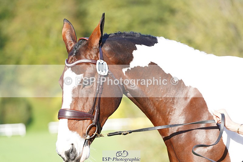 241026-100022-11536 - 004-Claire.Deuten-FOXRIDGE.HIGH.JINX